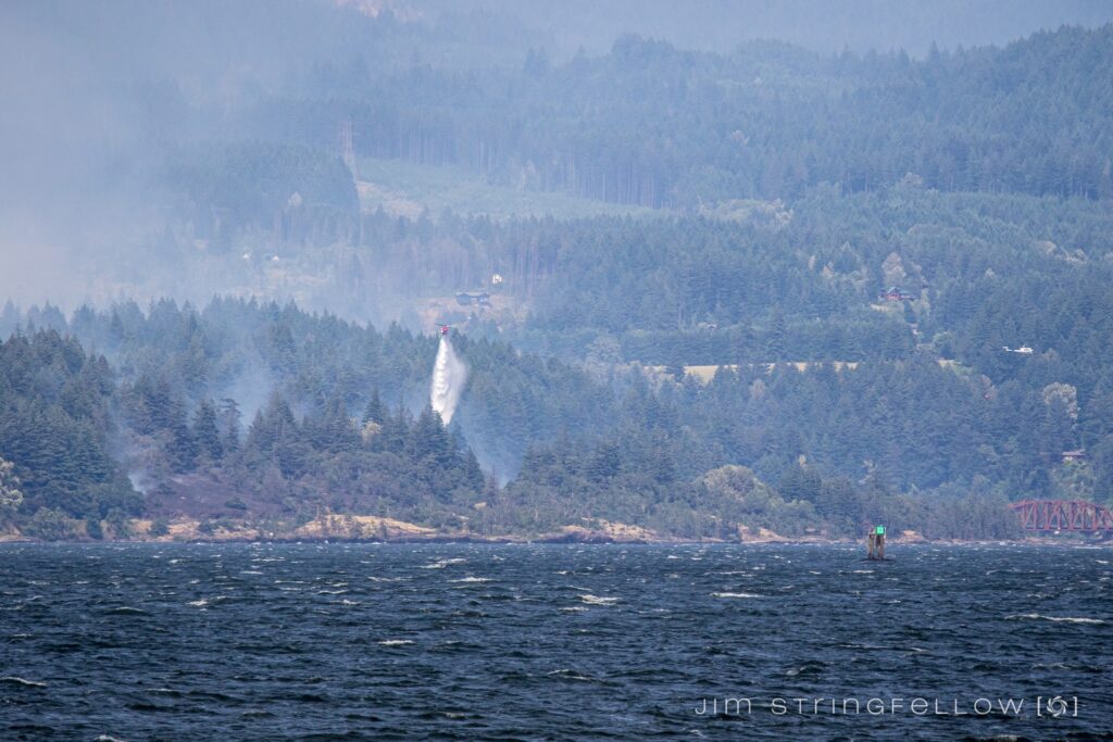 A forest fire near the shoreline