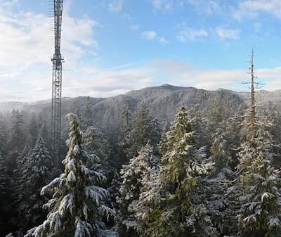 Electrical tower in a Pacific Northwest forest